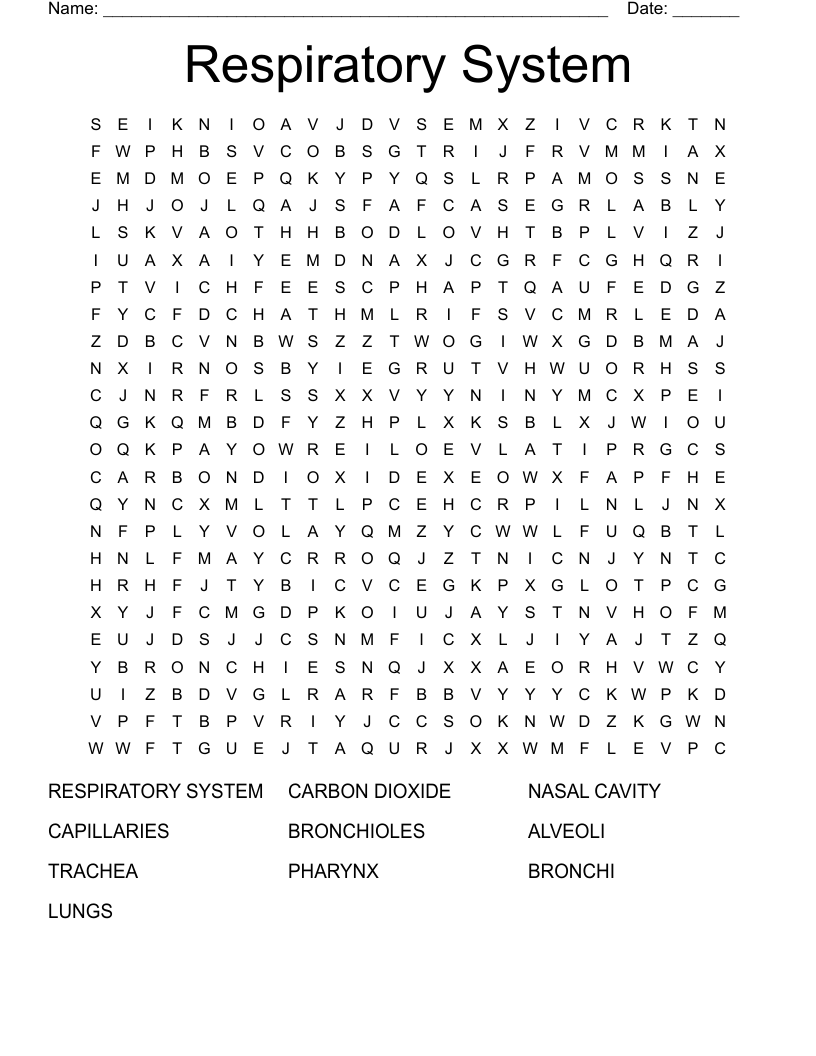 Respiratory System Word Search