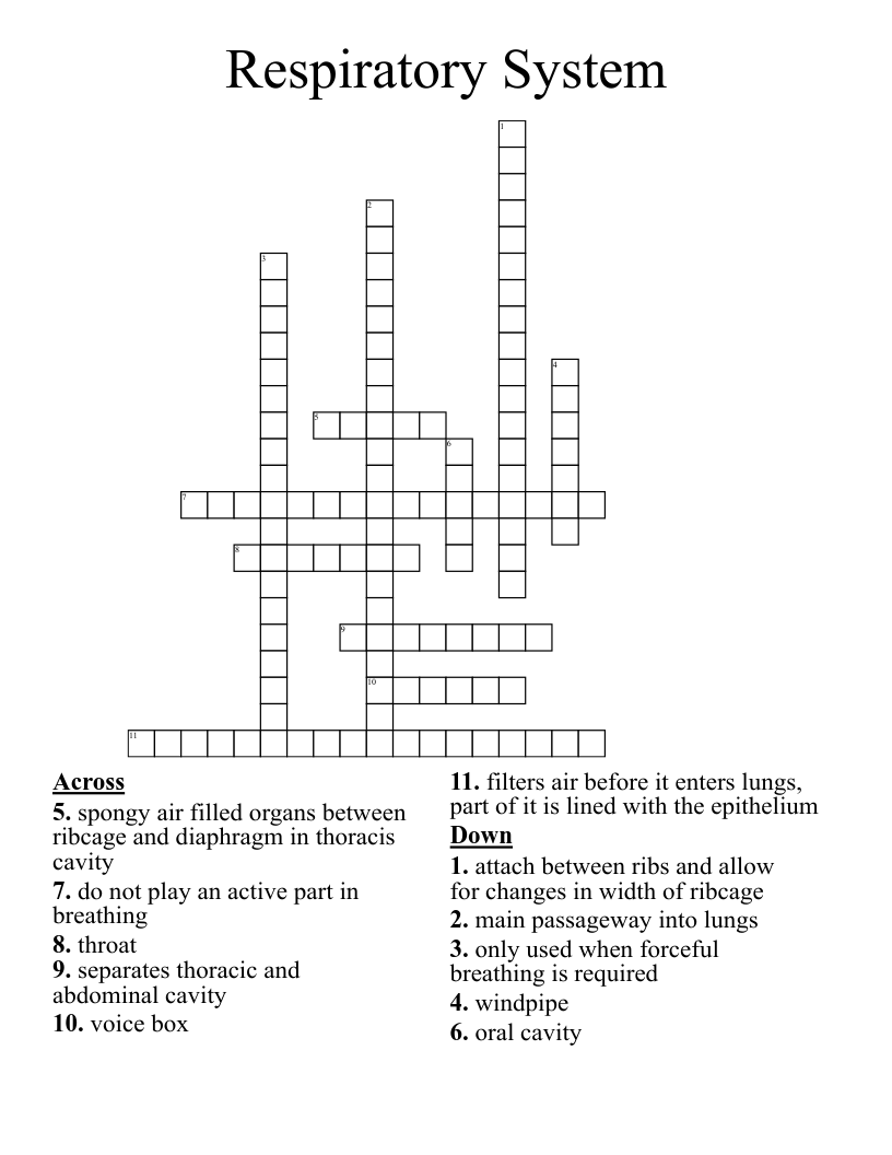 Respiratory System Crossword