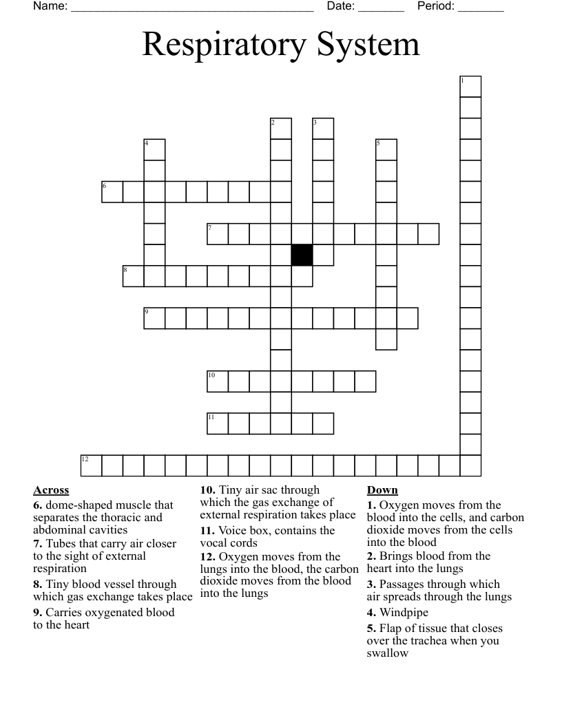 Respiratory System Crossword