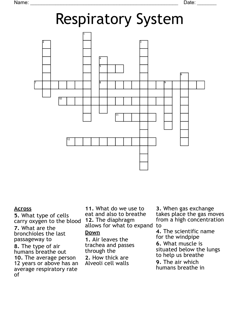 Respiratory System Crossword