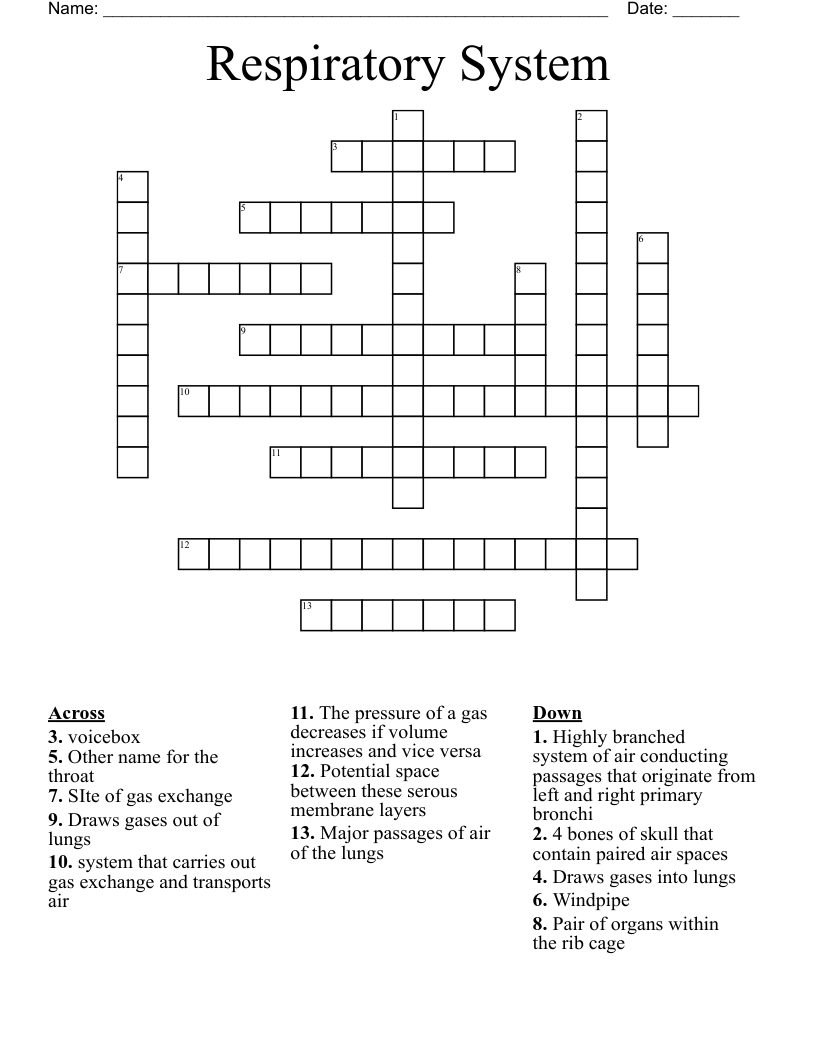 Respiratory System Crossword