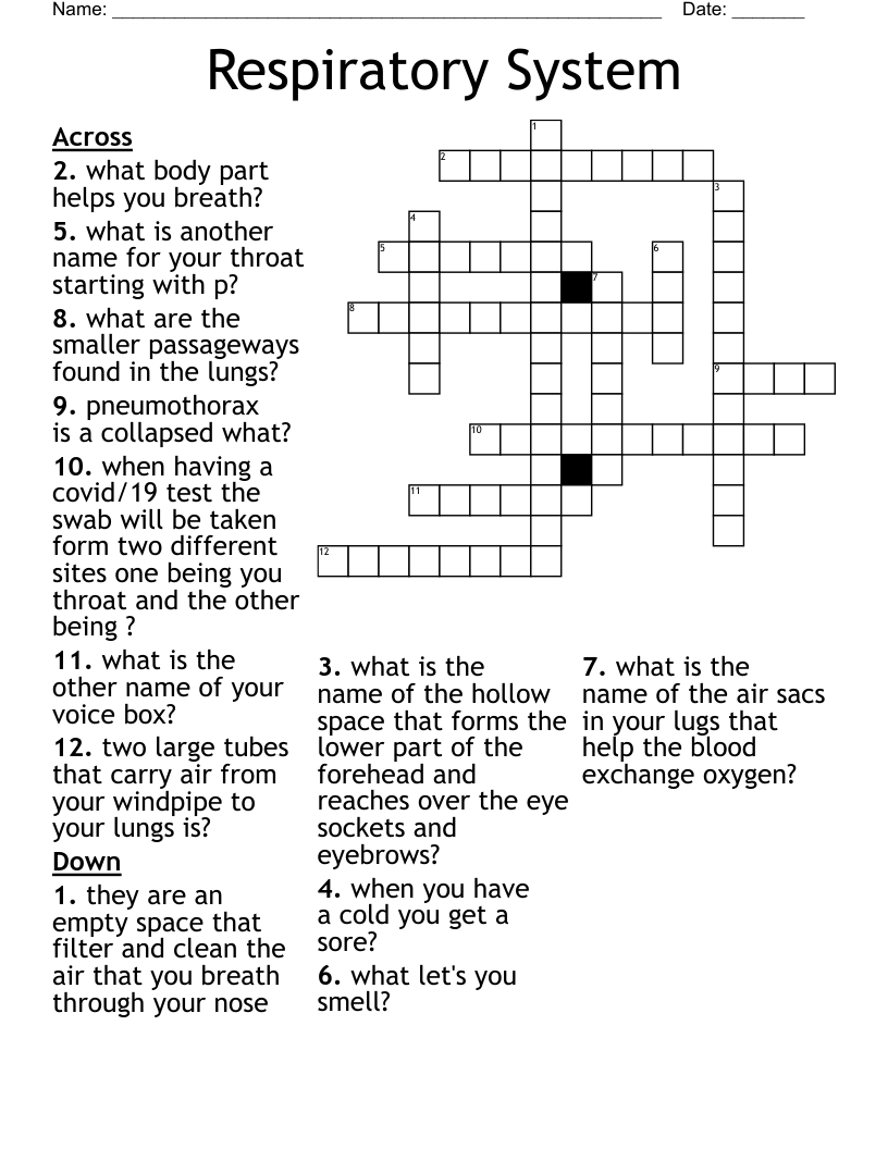 Respiratory System Crossword
