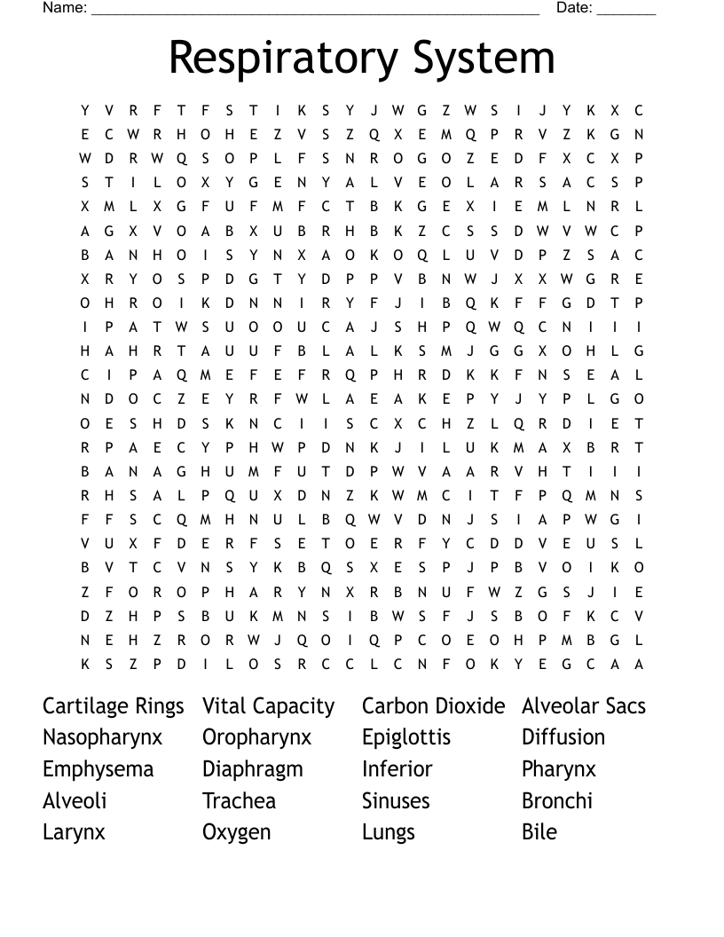 Respiratory System Word Search