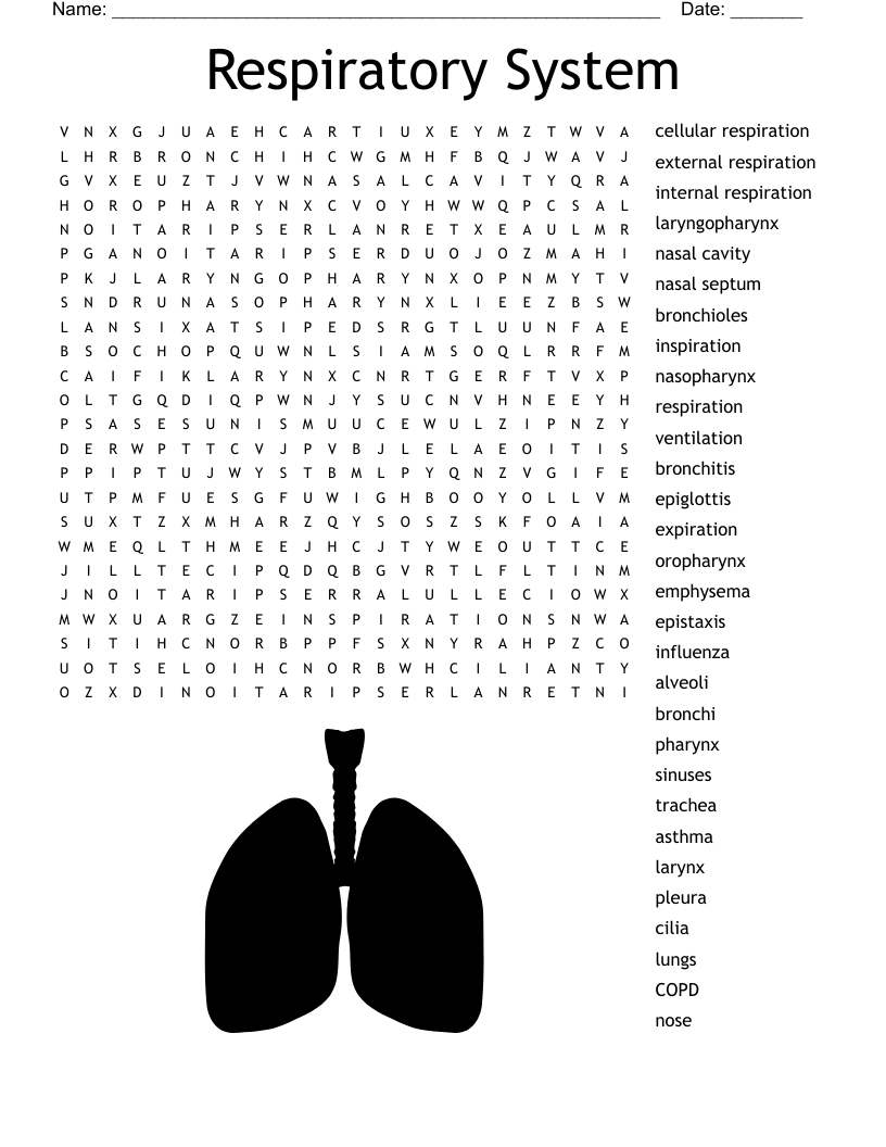 Respiratory System Word Search