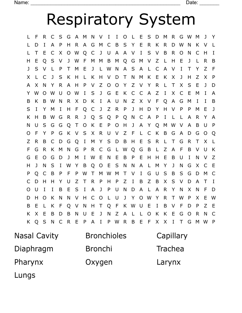 Respiratory System Word Search