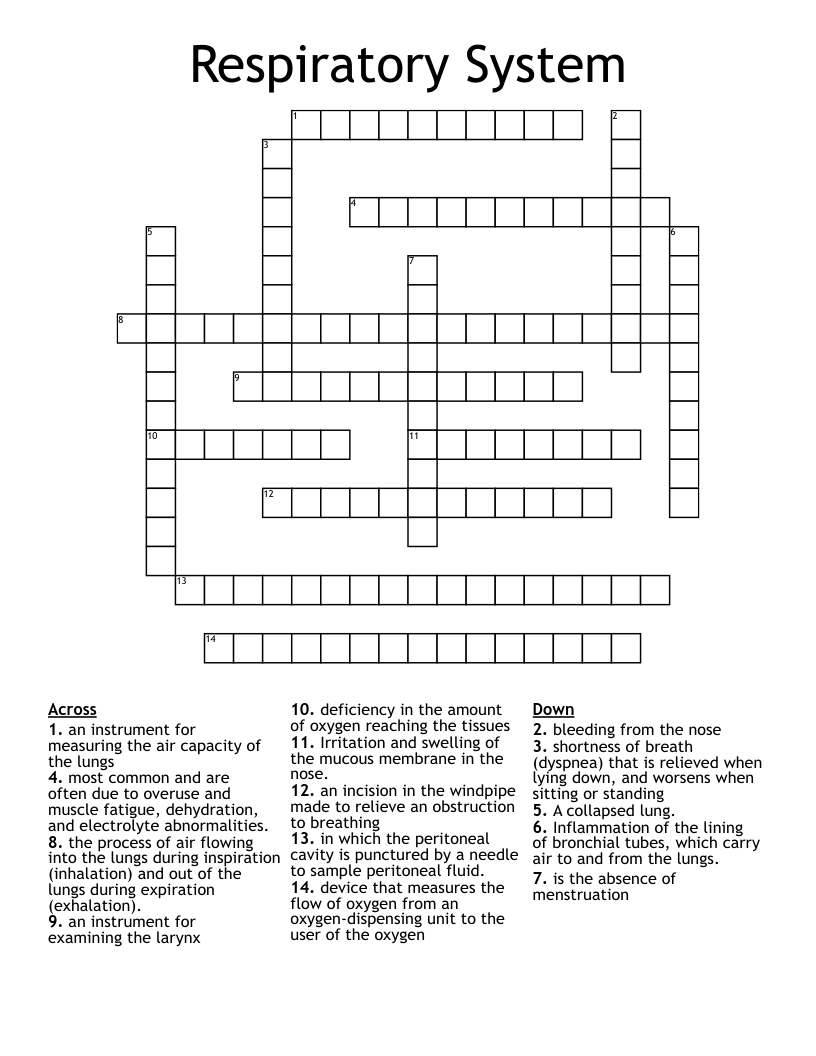 Respiratory System Crossword