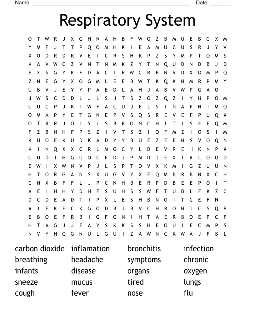 Respiratory System Word Search