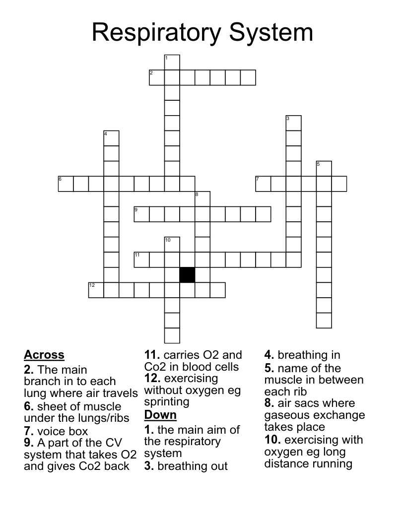 Respiratory System Crossword