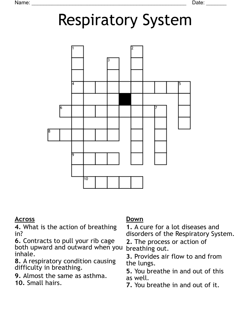 Respiratory System Crossword