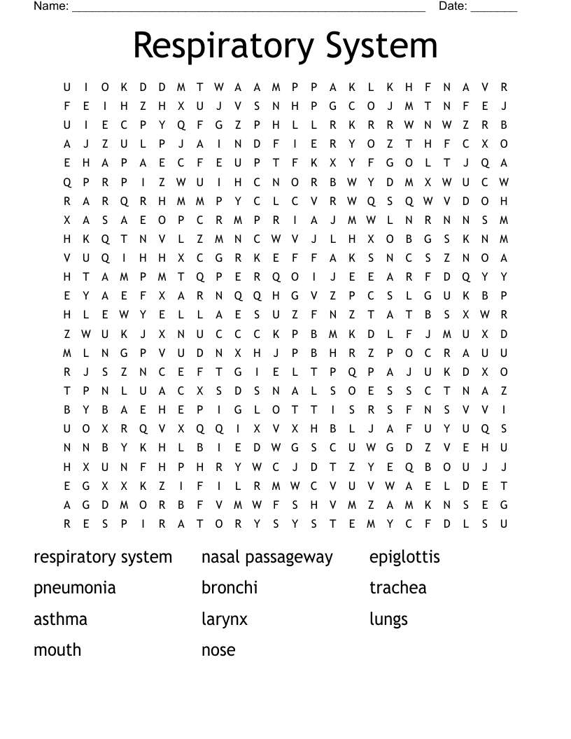 Respiratory System Word Search
