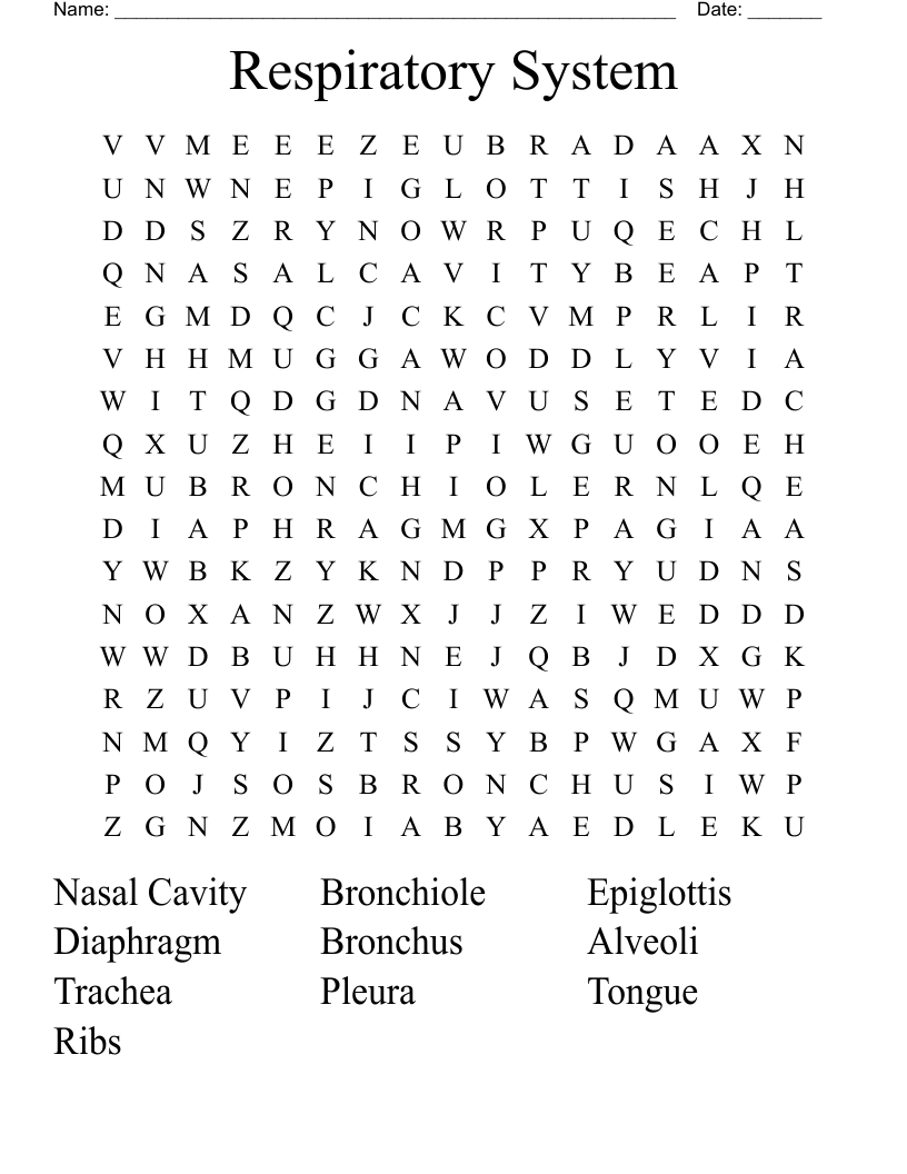 Respiratory System Word Search
