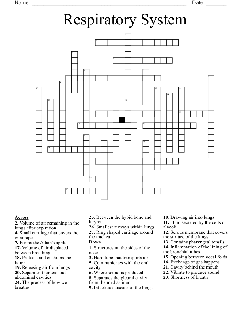 Respiratory System Crossword