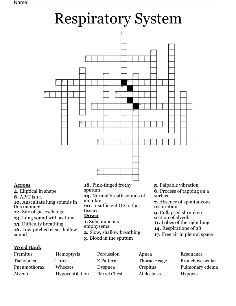 Respiratory System Crossword