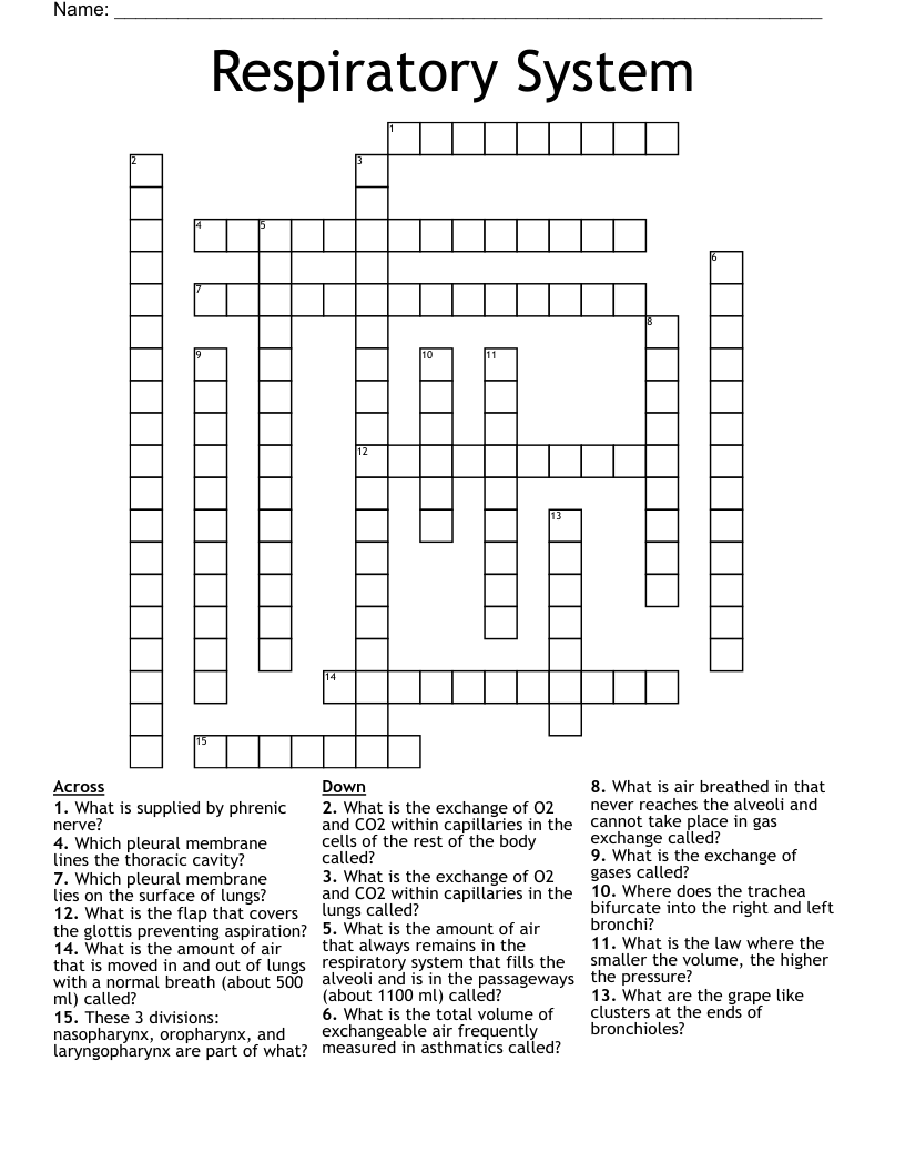 Respiratory System Crossword