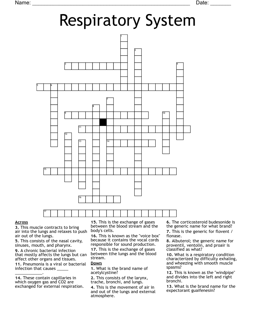 Respiratory System Crossword