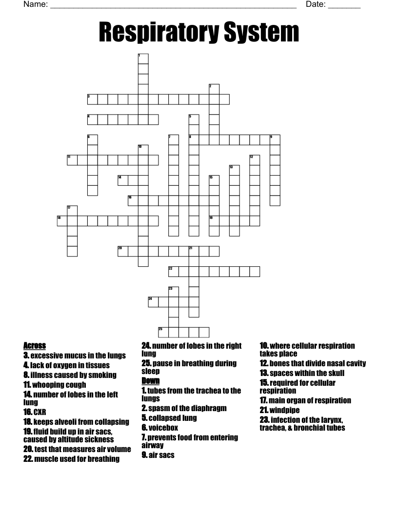 Respiratory System Crossword
