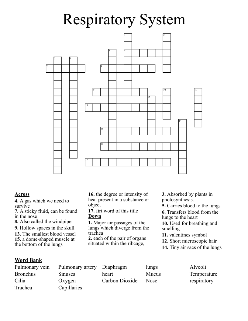 Respiratory System Crossword