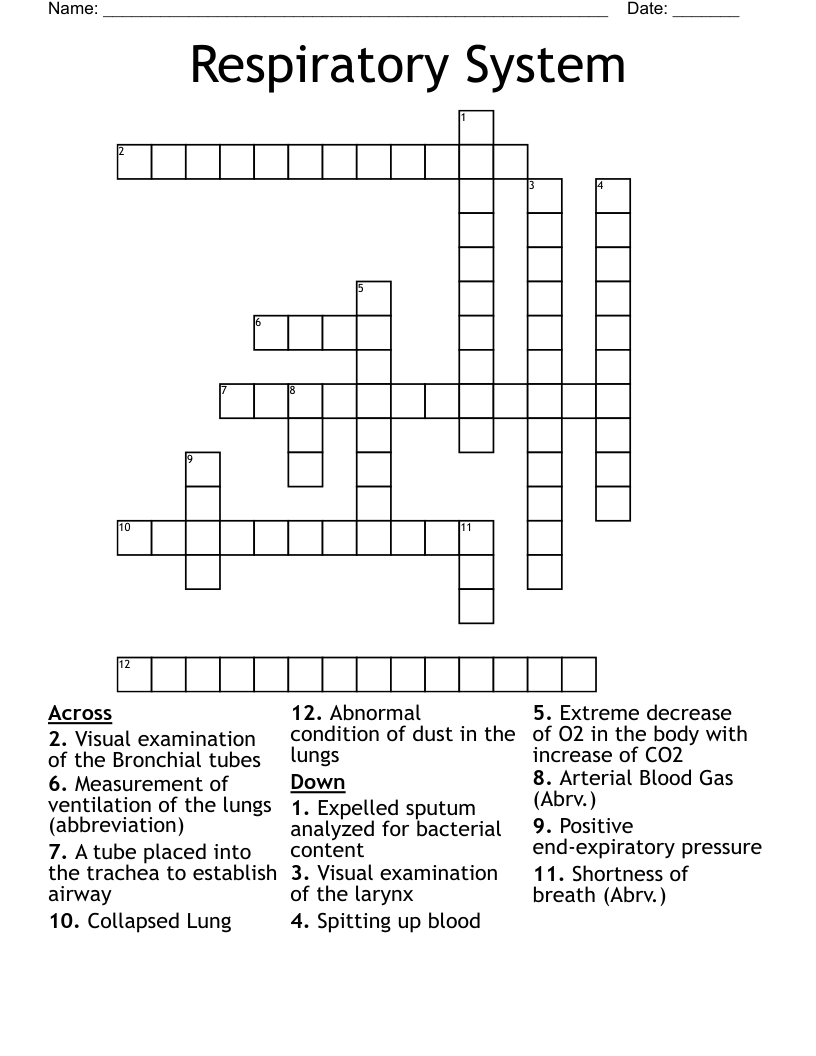 Respiratory System Crossword