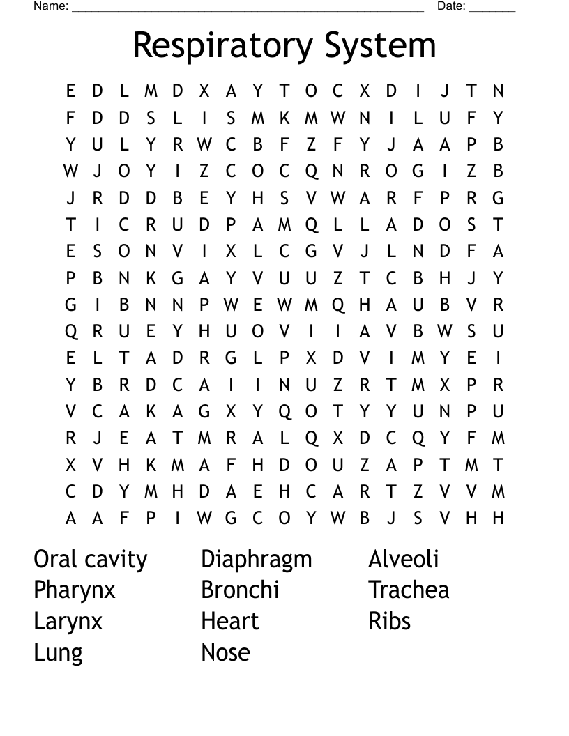Respiratory System Word Search