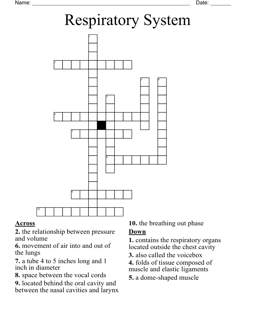 Respiratory System Crossword