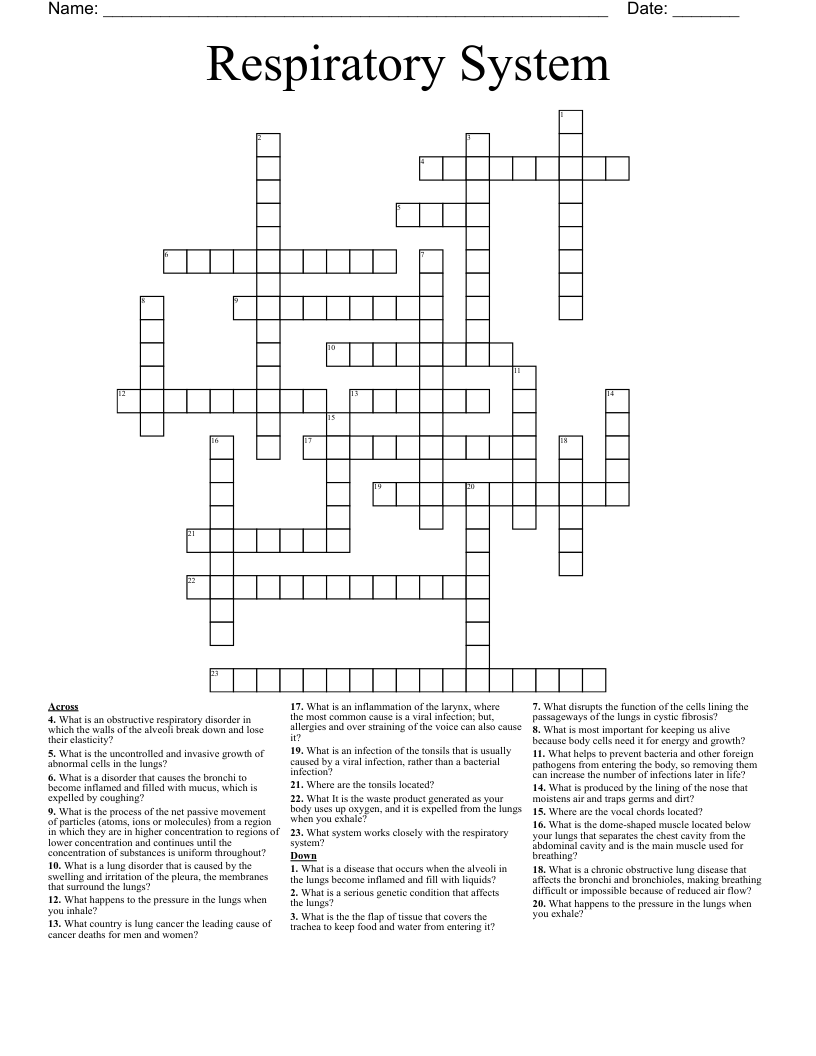 Respiratory System Crossword