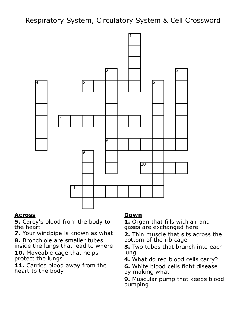 Respiratory System, Circulatory System & Cell Crossword