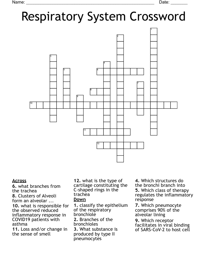 Respiratory System Crossword