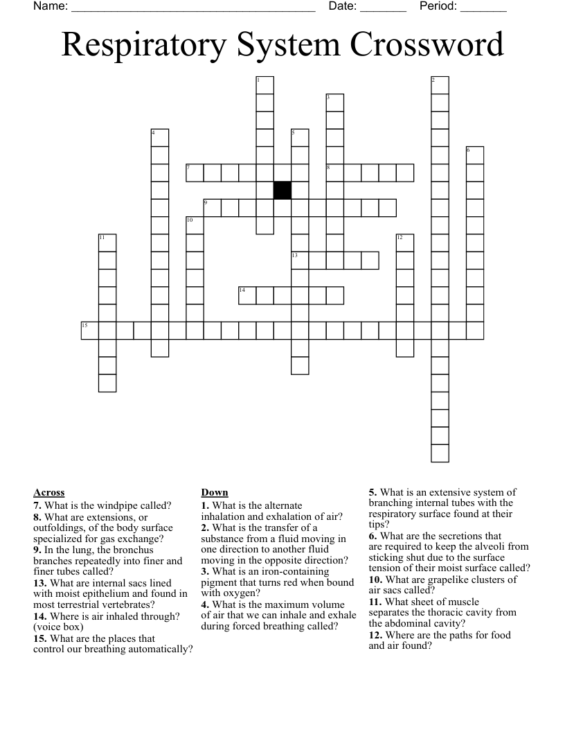 Respiratory System Crossword