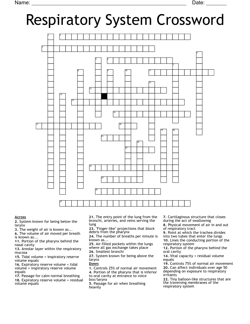 Respiratory System Crossword