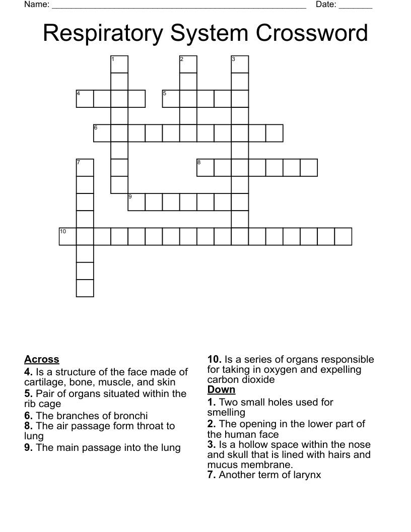 Respiratory System Crossword