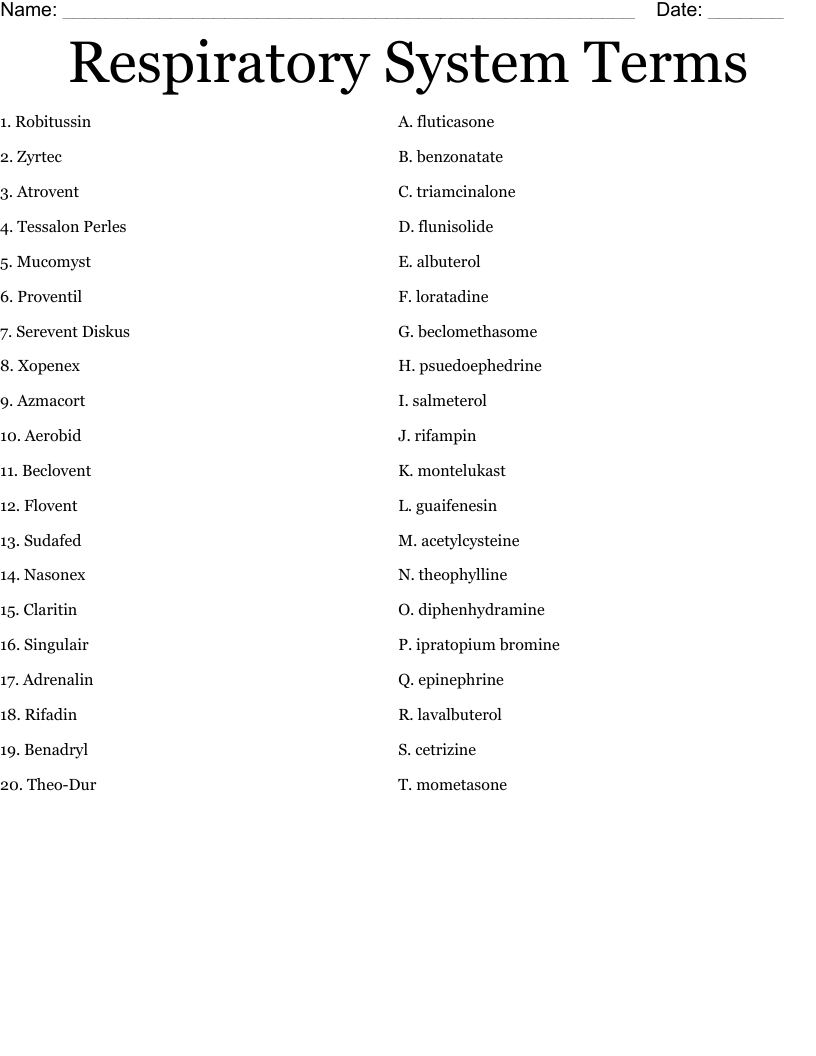 Respiratory System Terms Worksheet