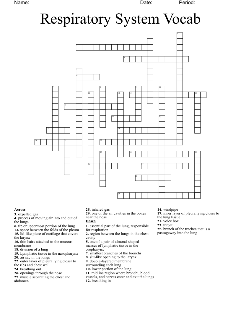 Respiratory System Vocab Crossword