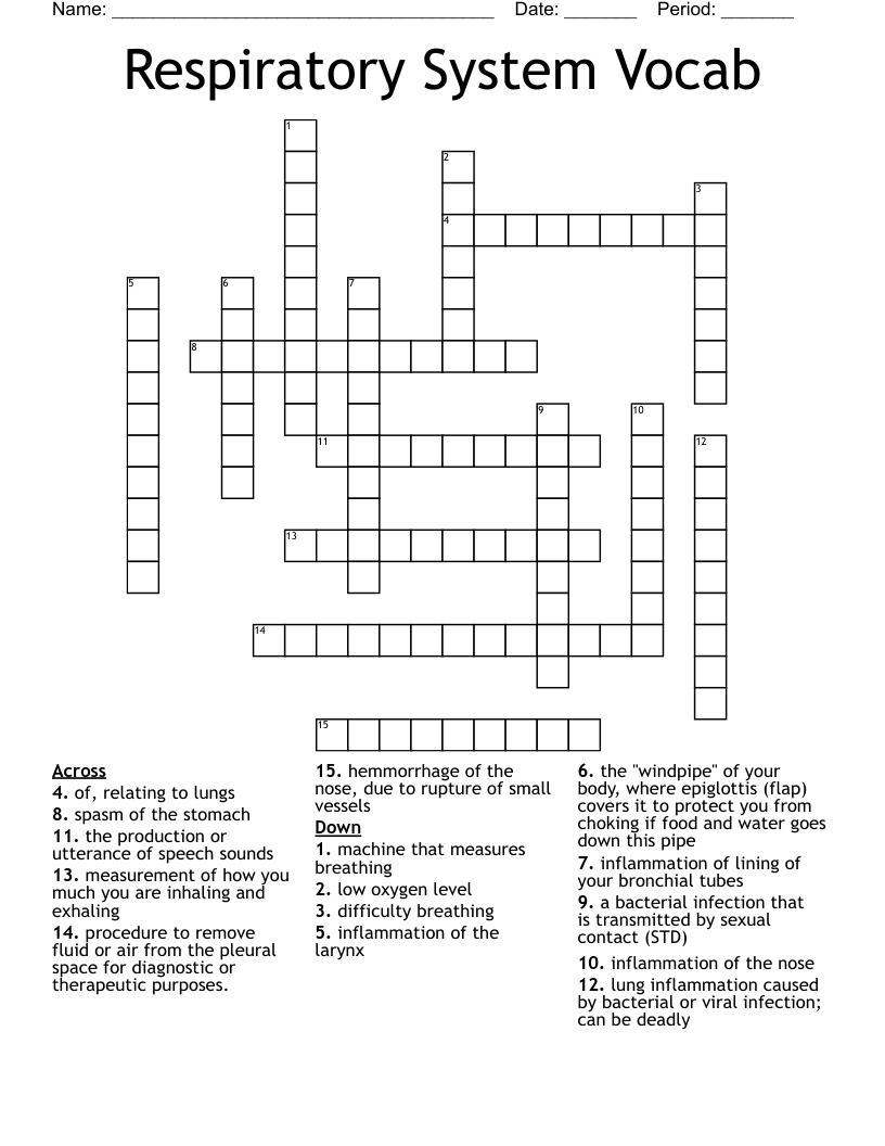 Respiratory System Vocab Crossword