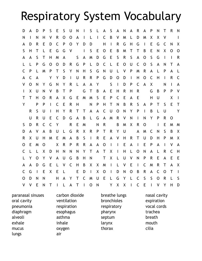Respiratory System Vocabulary Word Search