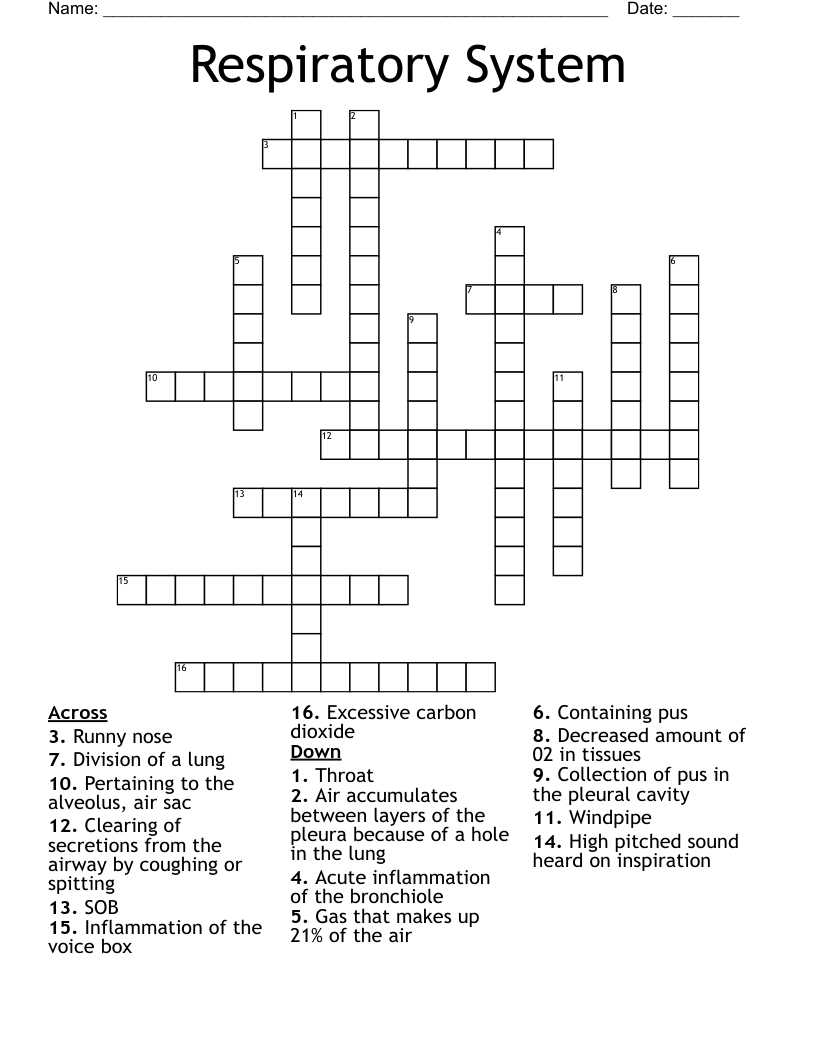 Respiratory System  Crossword