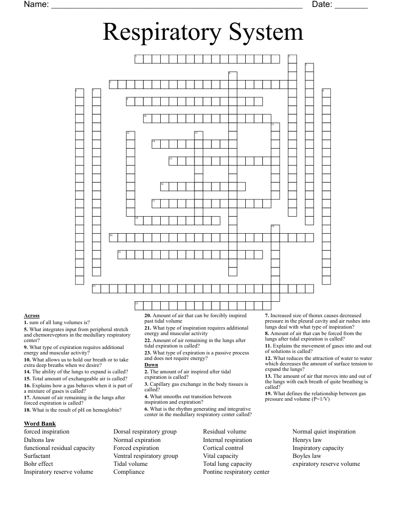 Respiratory System  Crossword