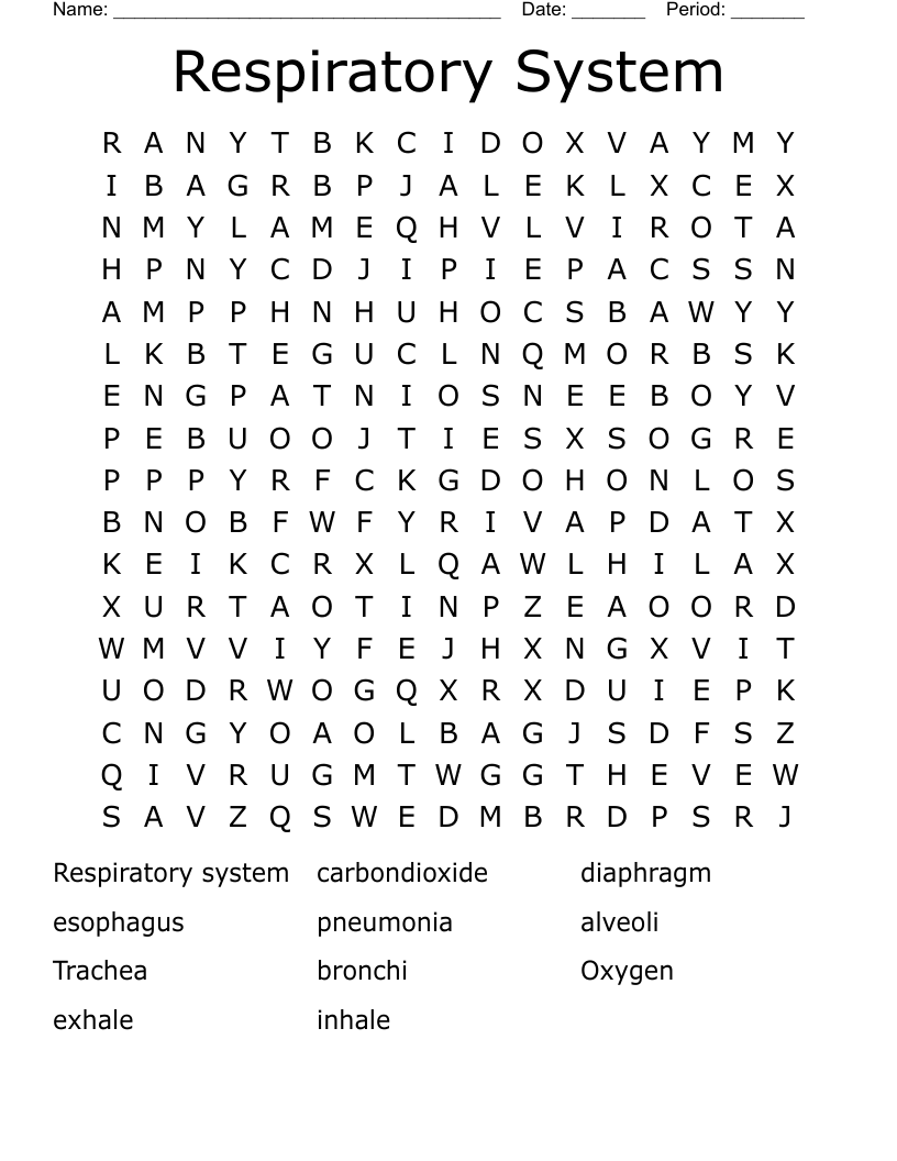 Respiratory System  Word Search