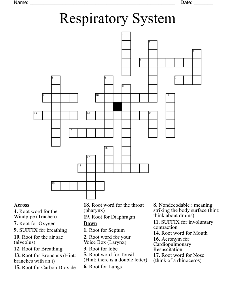 Respiratory System  Crossword