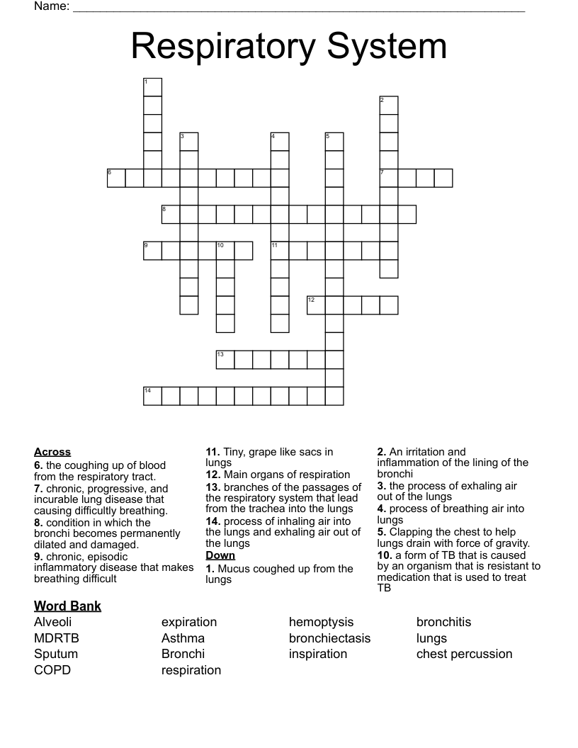 Respiratory System  Crossword