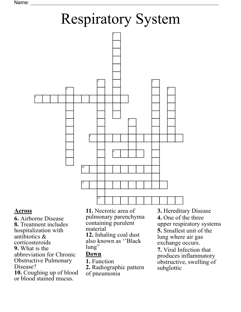 Respiratory System  Crossword