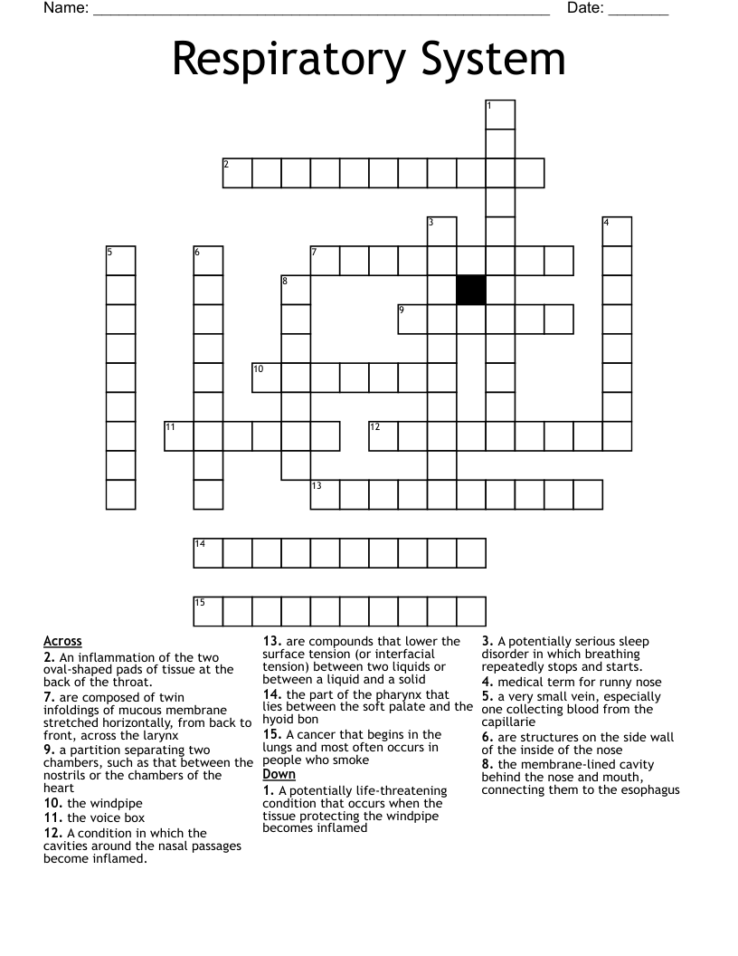Respiratory System  Crossword