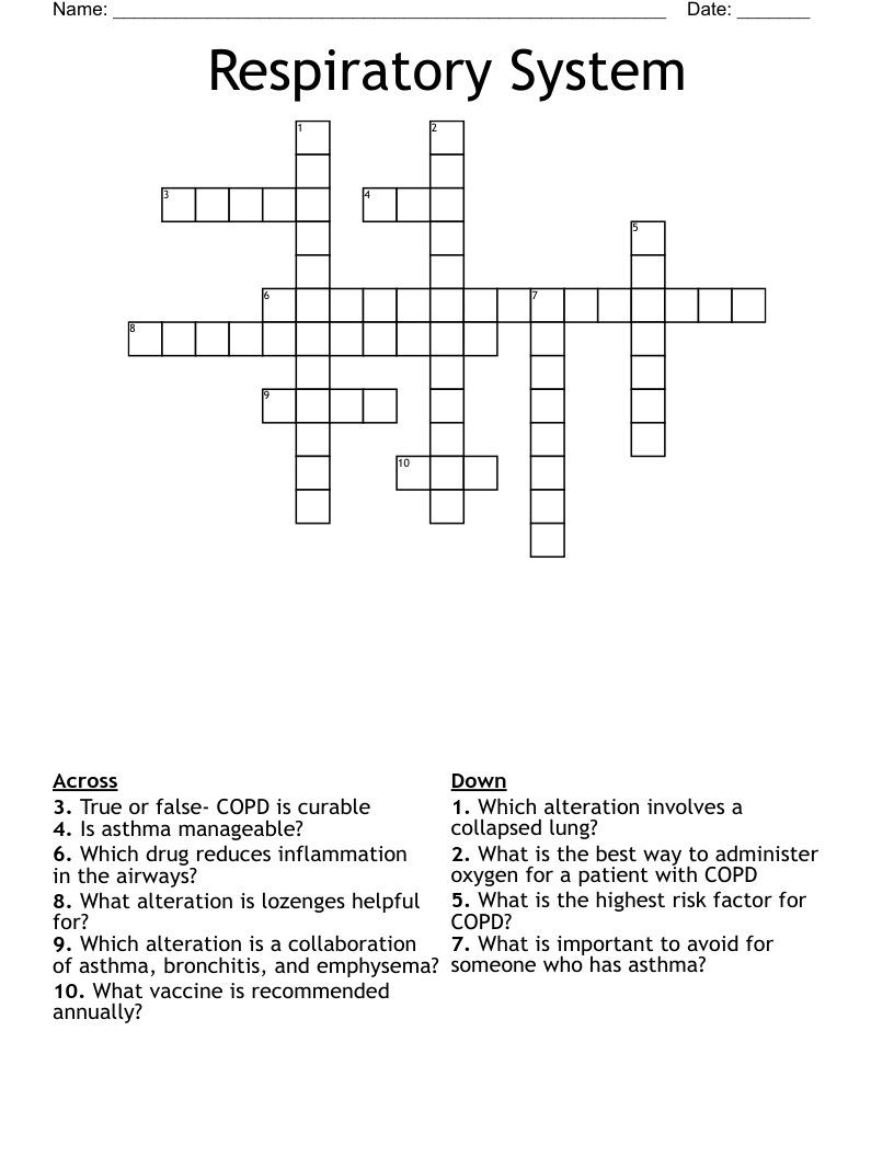 Respiratory System  Crossword