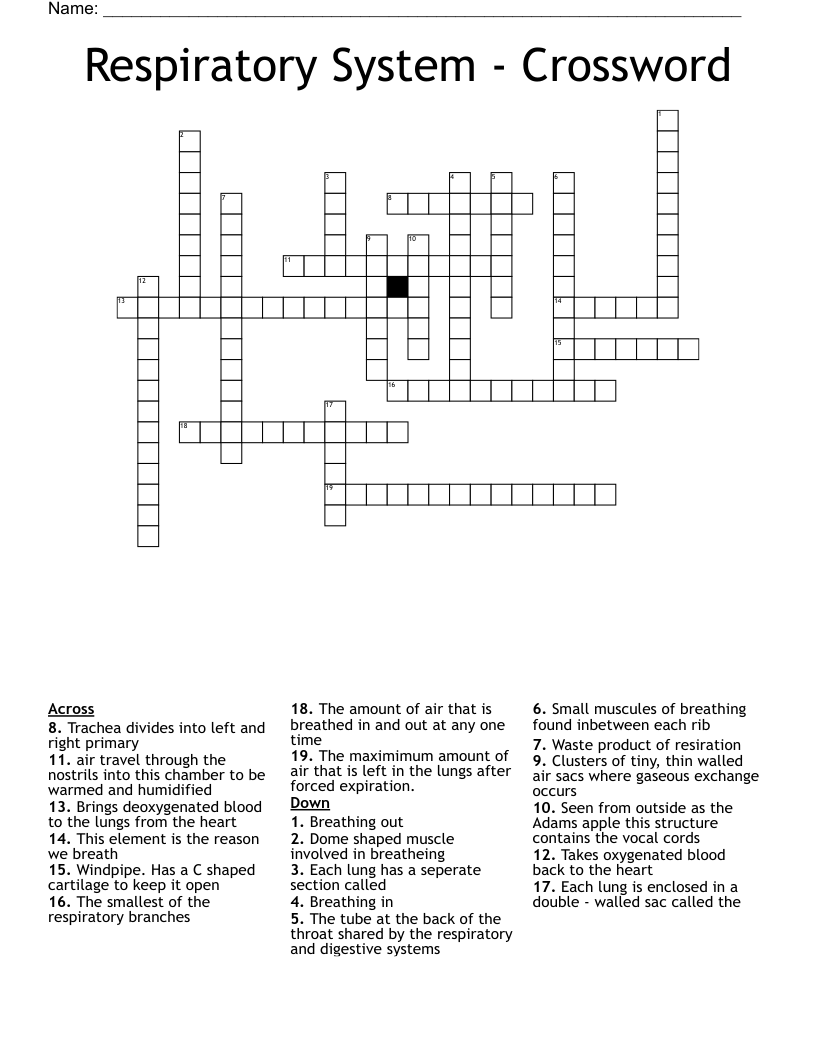Respiratory System - Crossword