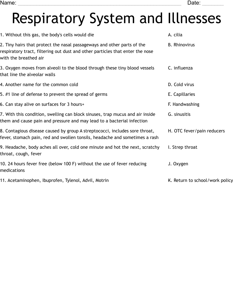 Respiratory System and Illnesses Worksheet