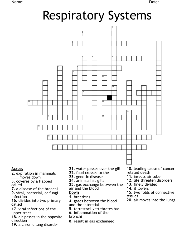 Respiratory Systems Crossword