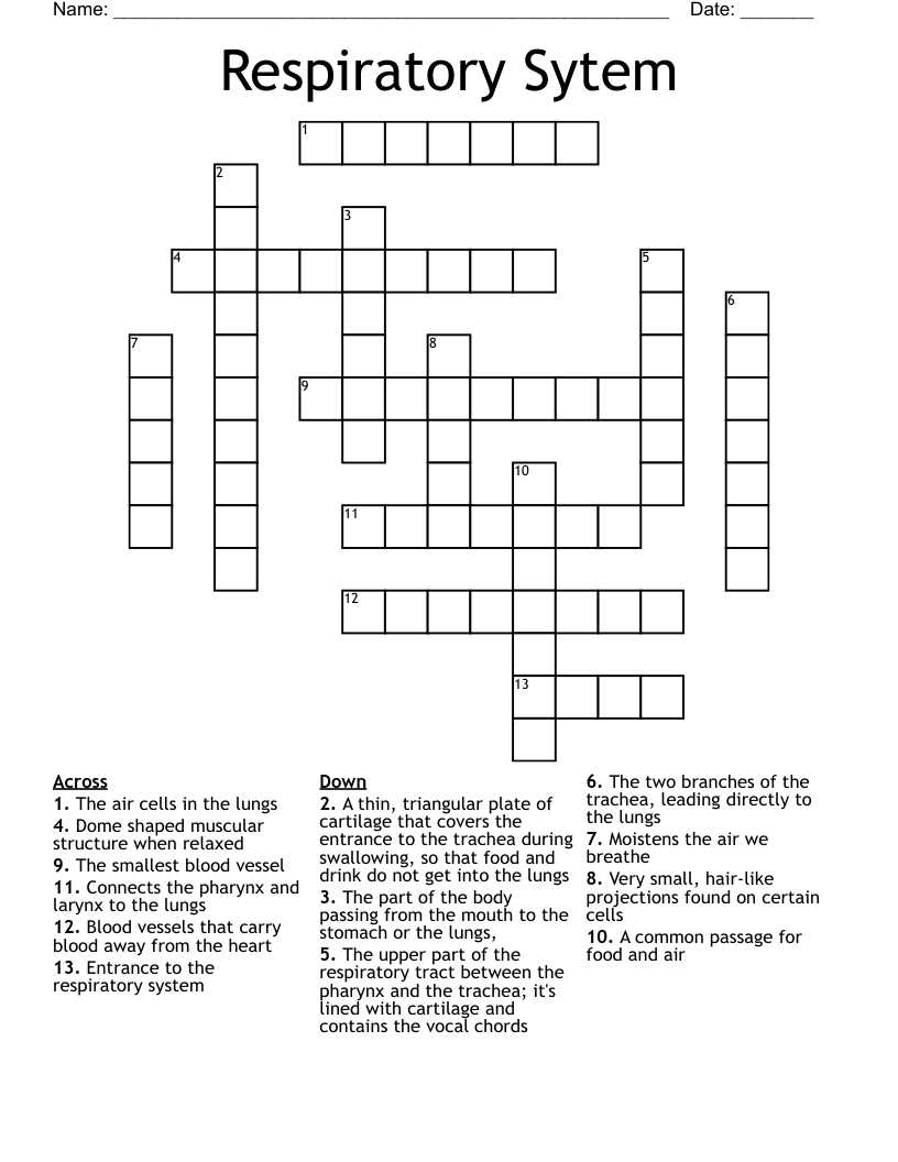 Respiratory Sytem Crossword
