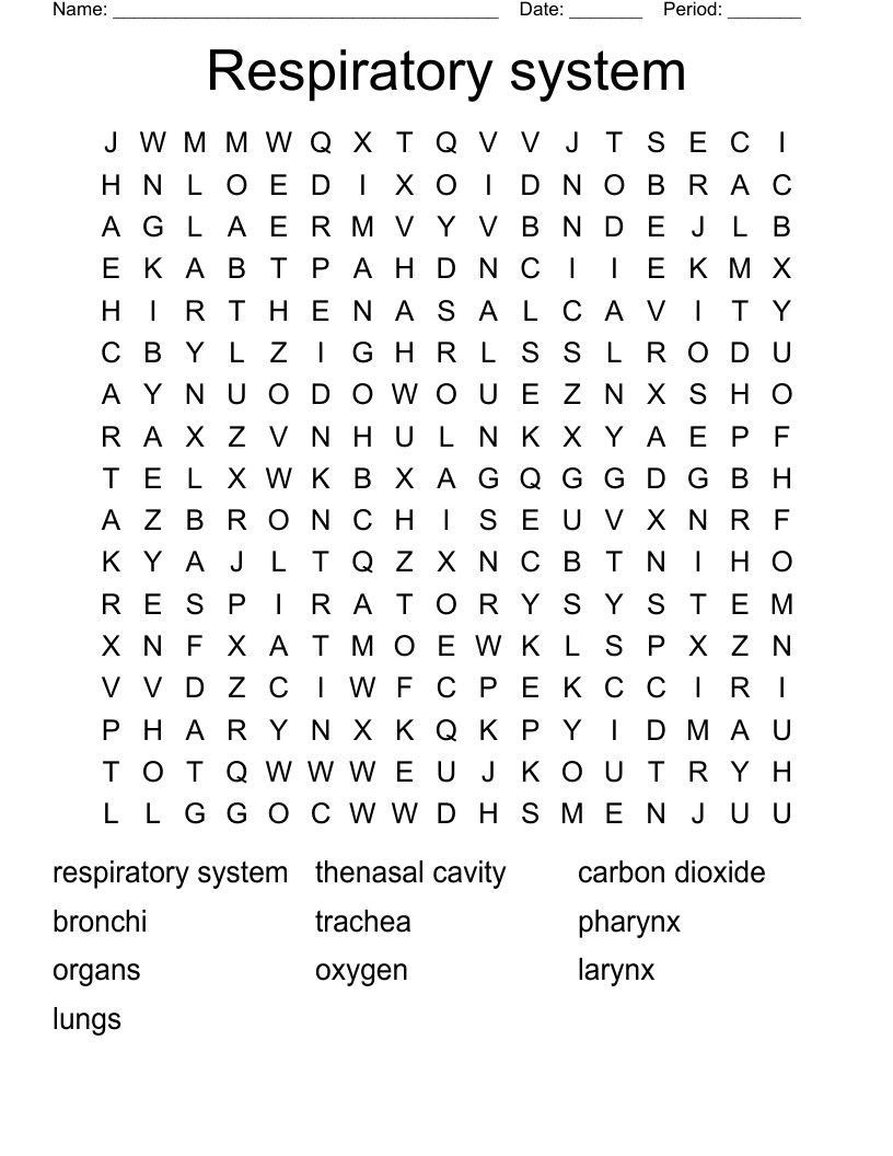 Respiratory system Word Search