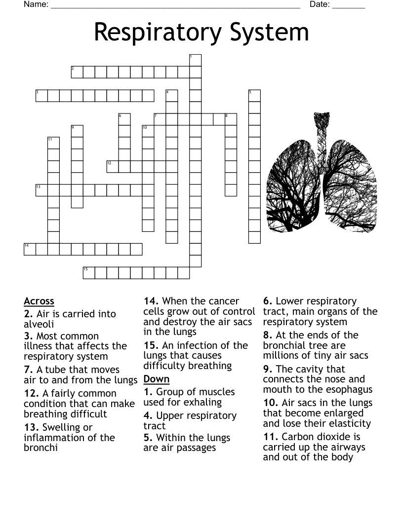 Respiratory System Crossword