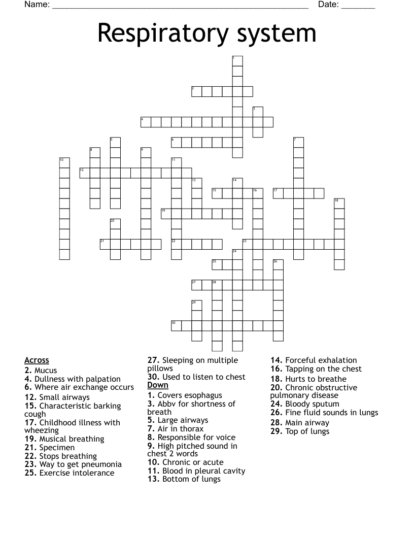 Respiratory system Crossword