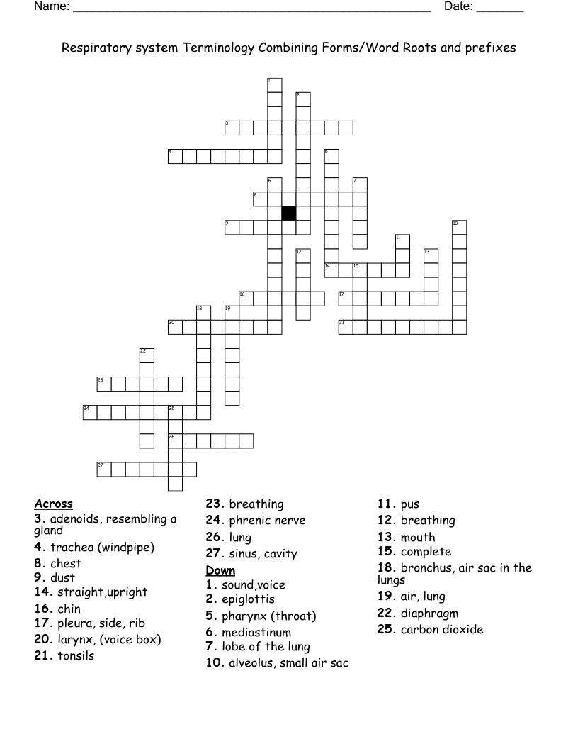 Respiratory system Terminology Combining Forms/Word Roots and prefixes  Crossword